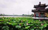 Туры в отель Vienna 3 Best Hotel (Jinan Daming Lake Beimen)