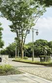 Туры в отель Mitsui Garden Hotel Kashiwanoha Park Side Chiba