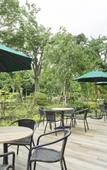 Туры в отель Mitsui Garden Hotel Kashiwanoha Park Side Chiba