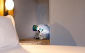 Туры в отель Ibis Styles Les Houches Chamonix
