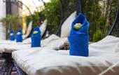 Туры в отель The Five Senses Boutique Hotel