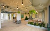 Туры в отель Odin Hotel Quy Nhon