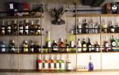 Туры в отель Odin Hotel Quy Nhon