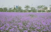 Туры в отель LANDISON PLAZA  E-FASHION  HOTEL  HANGZHOU