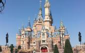 Туры в отель Madison Hotel Shanghai Wild Animal Park