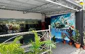 Туры в отель Hotel MSP