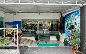 Туры в отель Hotel MSP