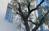 Туры в отель Biancodonda Greenblu Hotel & SPA