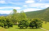 Туры в отель Hotel Le Panoramic