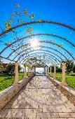 Туры в отель Palace Natali