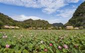 Туры в отель Muong Village Ninh Binh