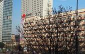Туры в отель Level Rooms