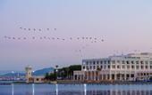 Туры в отель Marchica Lagoon Resort