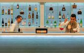 Туры в отель Marchica Lagoon Resort