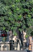 Туры в отель Chapter 02 Gallery Suites