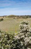 Туры в отель Links Lodge at The Dunes