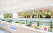 Туры в отель Iberostar Bellevue