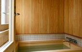 Туры в отель SHISHI-IWA HOUSE KARUIZAWA