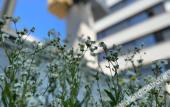 Туры в отель Post 120 Suites