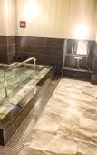 Туры в отель TENNEN-ONSEN HOTEL LiVEMAX PREMIUM Nagano-ekimae