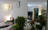 Туры в отель Finsonius Studios