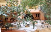 Туры в отель Chich Khan Hotel