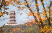 Туры в отель Hilton Nanjing Niushoushan