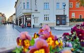 Туры в отель Hotel Domus Collis