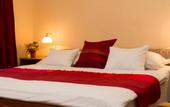 Туры в отель Hotel Molnar