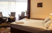 Туры в отель Hotel Molnar