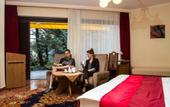 Туры в отель Hotel Molnar