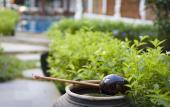 Туры в отель Green Grapefruit Villa