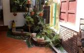 Туры в отель Green Grapefruit Villa