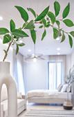 Туры в отель Apart-hotel Soho Suites