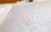 Туры в отель AS Boutique hotel