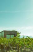 Туры в отель El Porvenir Wine Lodge