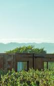 Туры в отель El Porvenir Wine Lodge