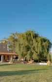 Туры в отель El Porvenir Wine Lodge