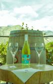 Туры в отель El Porvenir Wine Lodge