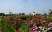 Туры в отель Hampton by Hilton Jining Gaoxin