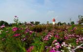 Туры в отель Hampton by Hilton Jining Gaoxin