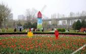 Туры в отель Hampton by Hilton Jining Gaoxin