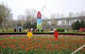 Туры в отель Hampton by Hilton Jining Gaoxin