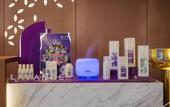 Туры в отель Lavande Hotel (Beijing South Railway Station Shiliuzhuang Subway Station)