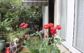 Туры в отель Homestay VuonTung (Pine Garden)