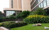 Туры в отель Ambassador City Jomtien Tower Wing