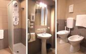 Туры в отель Hotel Flowers