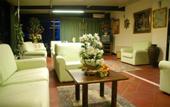 Туры в отель Hotel Flowers