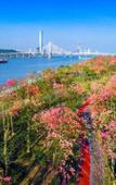 Туры в отель Baicheng Garden Hotel Zhuhai