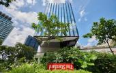 Туры в отель The Standard, Singapore